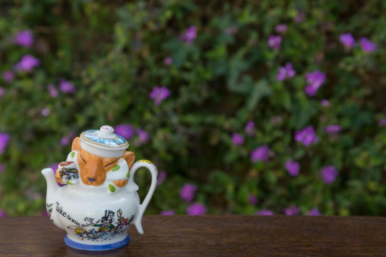 Cheshire Cat Inn & Cottages ซานตาบาร์บารา ภายนอก รูปภาพ
